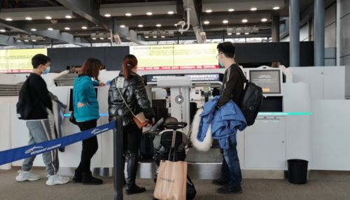 春運(yùn)保障 白云信科可切換行李托運(yùn)設(shè)備投用,為白云機(jī)場春運(yùn)保駕護(hù)航