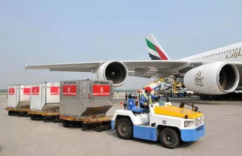 為什么飛機(jī)起飛還有40分鐘,就不讓登機(jī)了 看完漲知識