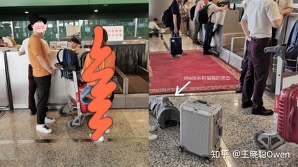 如何帶貓上飛機(進客艙,非托運)