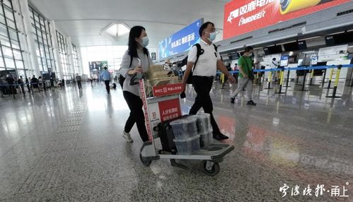 寧波機場楊梅托運熱，一單四千引熱議 是特色服務還是天價行李費？